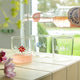 Flora Glass, the best customized gift and gifts for her and for him from Inna Carton online shop Dubai, UAE!