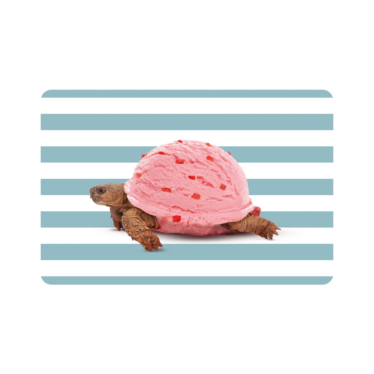 Turtle Placemat, the best customized gift and gifts for her and for him from Inna Carton online shop Dubai, UAE!
