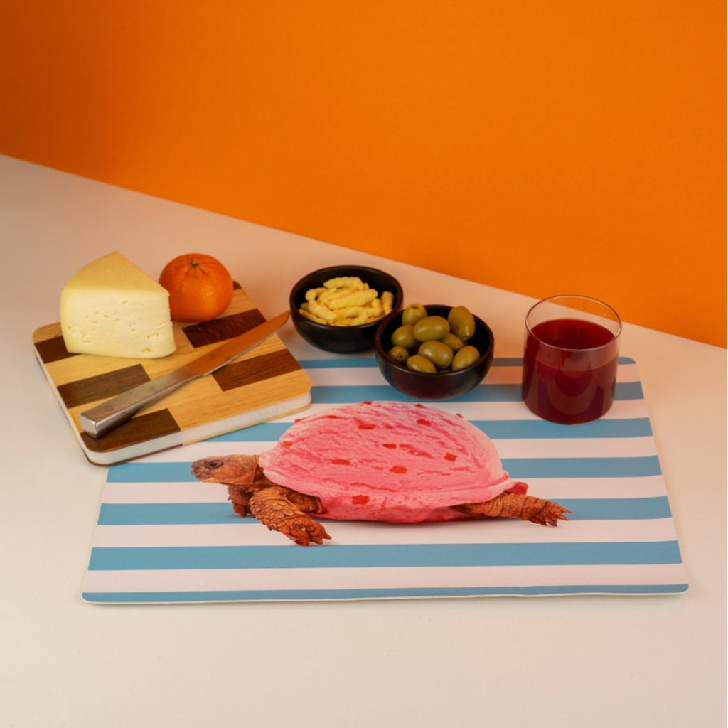 Turtle Placemat, the best customized gift and gifts for her and for him from Inna Carton online shop Dubai, UAE!
